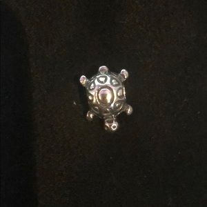 Turtle charm